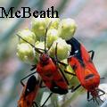 KayMcBeath